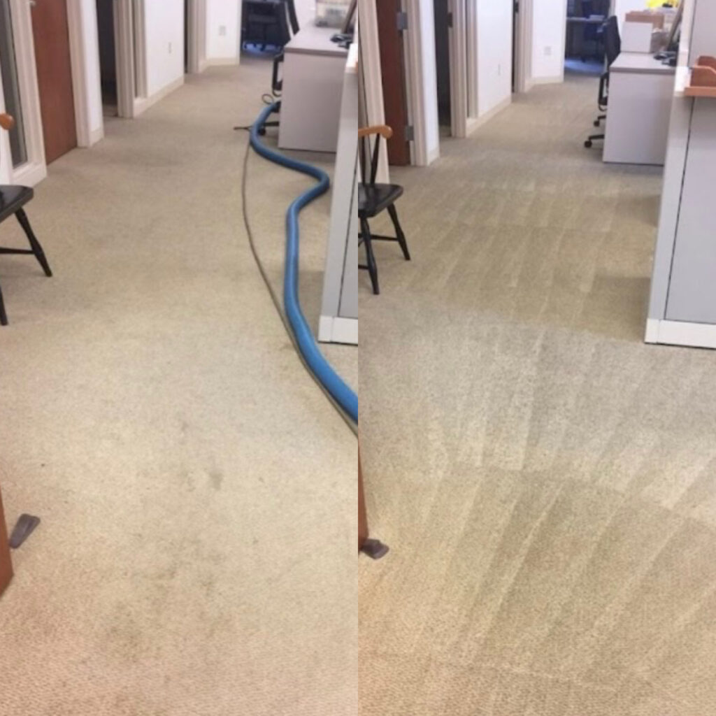 Carpet Cleaning Dumpster Rental Floor Cleaning